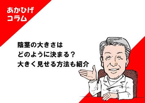 陰茎 周|陰茎の大きさの基準は？ 大きく見せる方法も紹介.